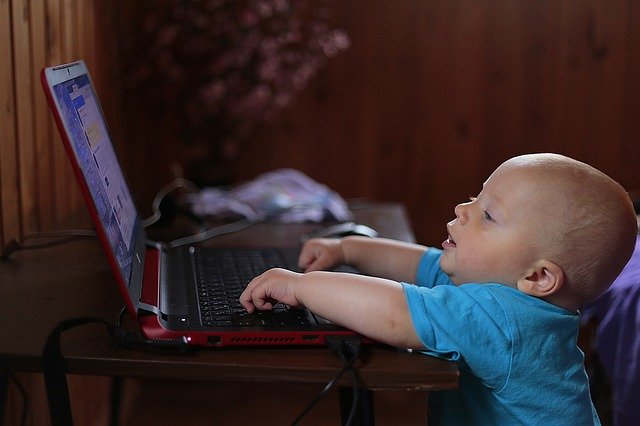 Toddler sitting in front of laptop