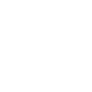 CIEP Advanced Professional Member